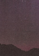 
Leonid meteor streaks through sky during meteor shower at Organ Pipe Cactus National Monument.
